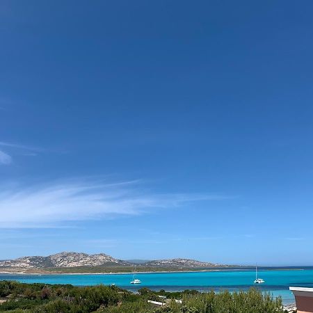 Cuile Nanni D'Oro Διαμέρισμα Stintino Εξωτερικό φωτογραφία