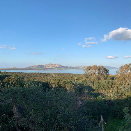 Cuile Nanni D'Oro Διαμέρισμα Stintino Εξωτερικό φωτογραφία
