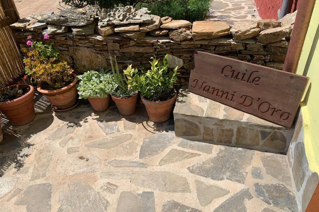 Cuile Nanni D'Oro Διαμέρισμα Stintino Εξωτερικό φωτογραφία