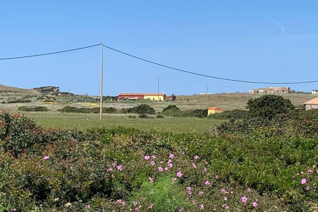 Cuile Nanni D'Oro Διαμέρισμα Stintino Εξωτερικό φωτογραφία